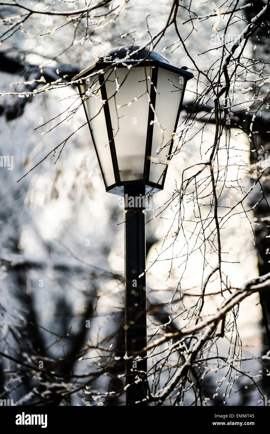 Street lantern in winter snowy city park. Seasonal concept Stock Photo ...