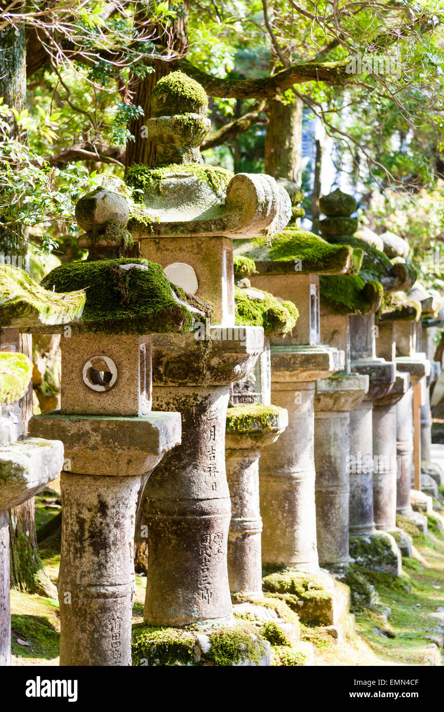 Japan, Nara, Kasuga Taisha Shrine. Row of pedestal stone lanterns, ishi-doro, with their tops covered in moss, and trees in the background. Stock Photo