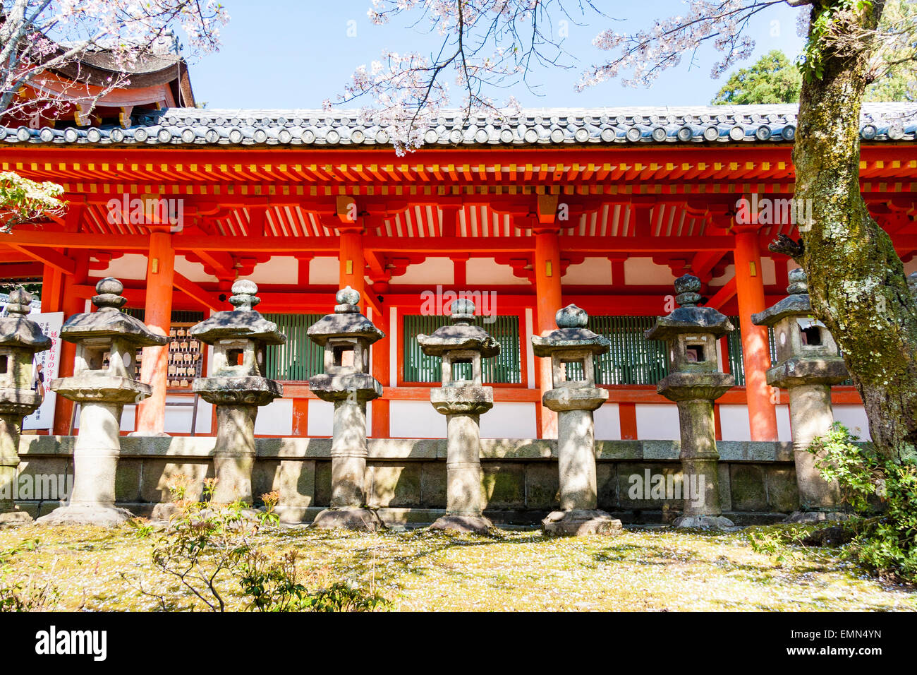 Row of pedestal stone lanterns, ishi-doro, outside the main vermilion and green hall of the kasuga Taisha shrine in Nara, Japan. Blue sky overhead. Stock Photo