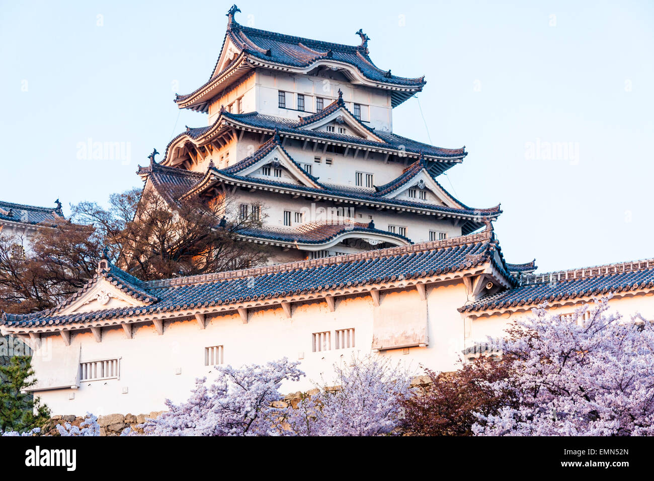 Tourist attraction Himeji castle in Japan. Golden hour view just before