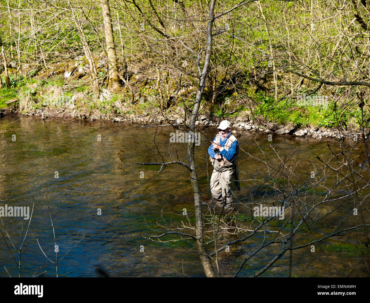 Fly fisherman on the river Wye upstream of Ashford in the Water,Peak District,Derbyshire,England, UK. Stock Photo