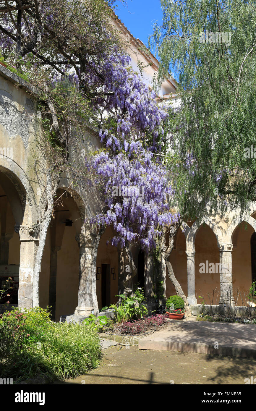 Wisteria in the gardens of the Grand Hotel Excelsior Vittoria, Sorrento, Italy. Stock Photo