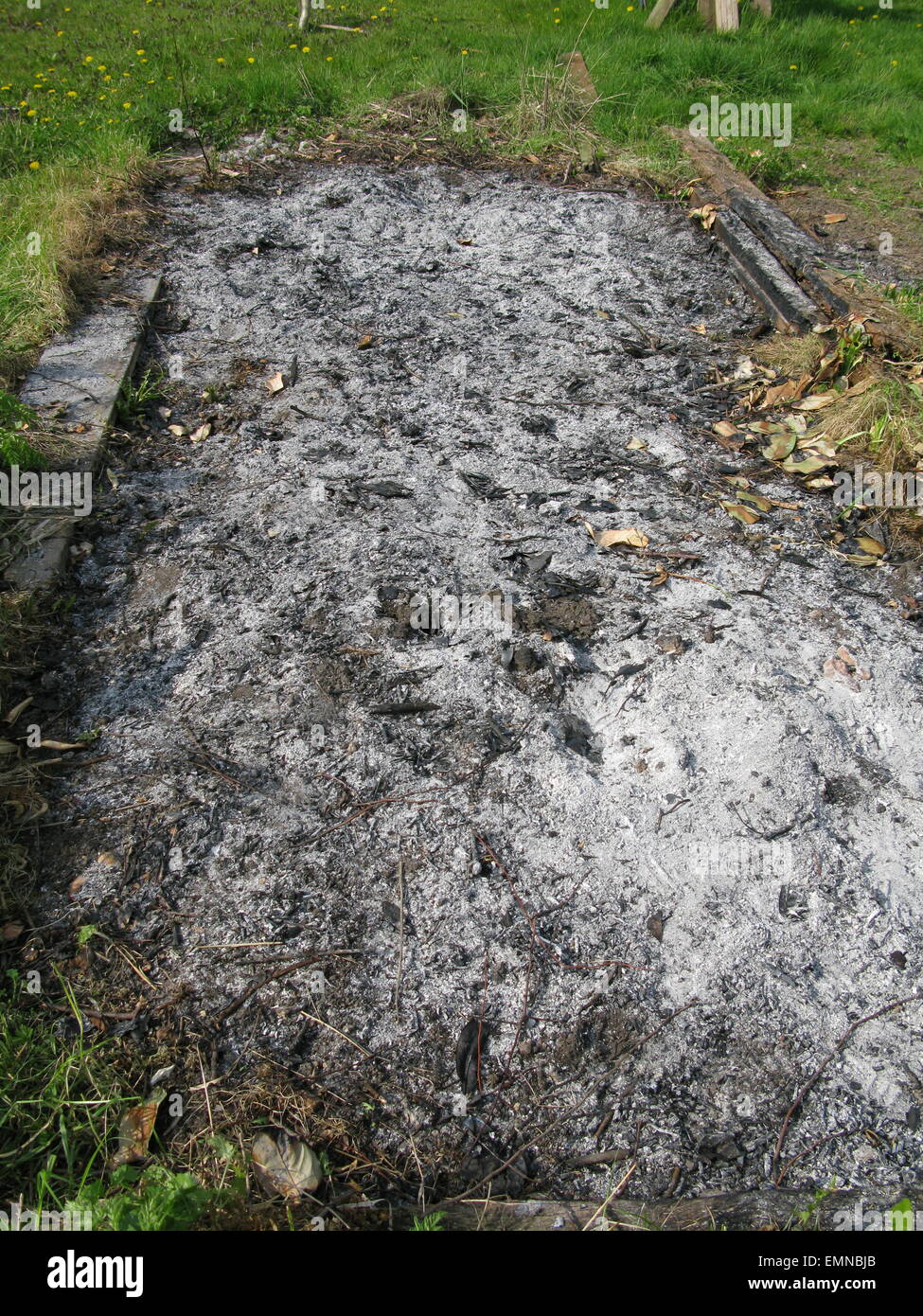 Wood ash Stock Photo Alamy