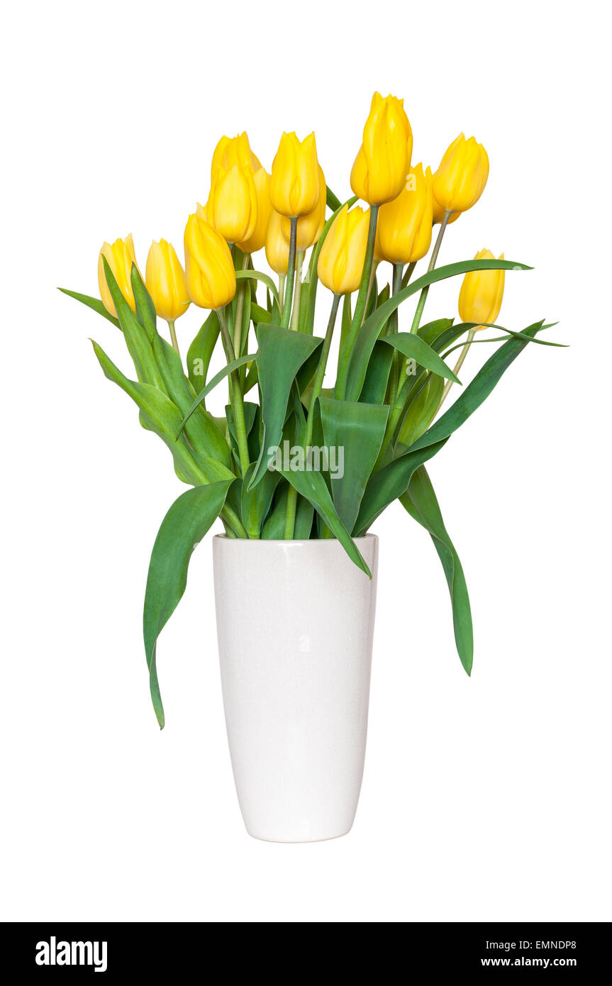 Bouquet of yellow tulips in a vase isolated on white background with ...