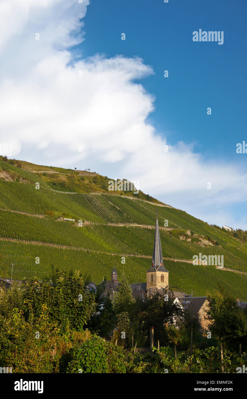 Graacher Himmelreich vineyard, and spire   of St. Simon and Jude church, Graach, Mosel valley, Rheinland-Pfalz, Germany Stock Photo