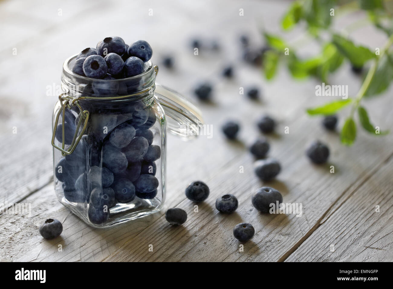 Blueberry antioxidant organic superfood in a jar concept for healthy eating and nutrition Stock Photo