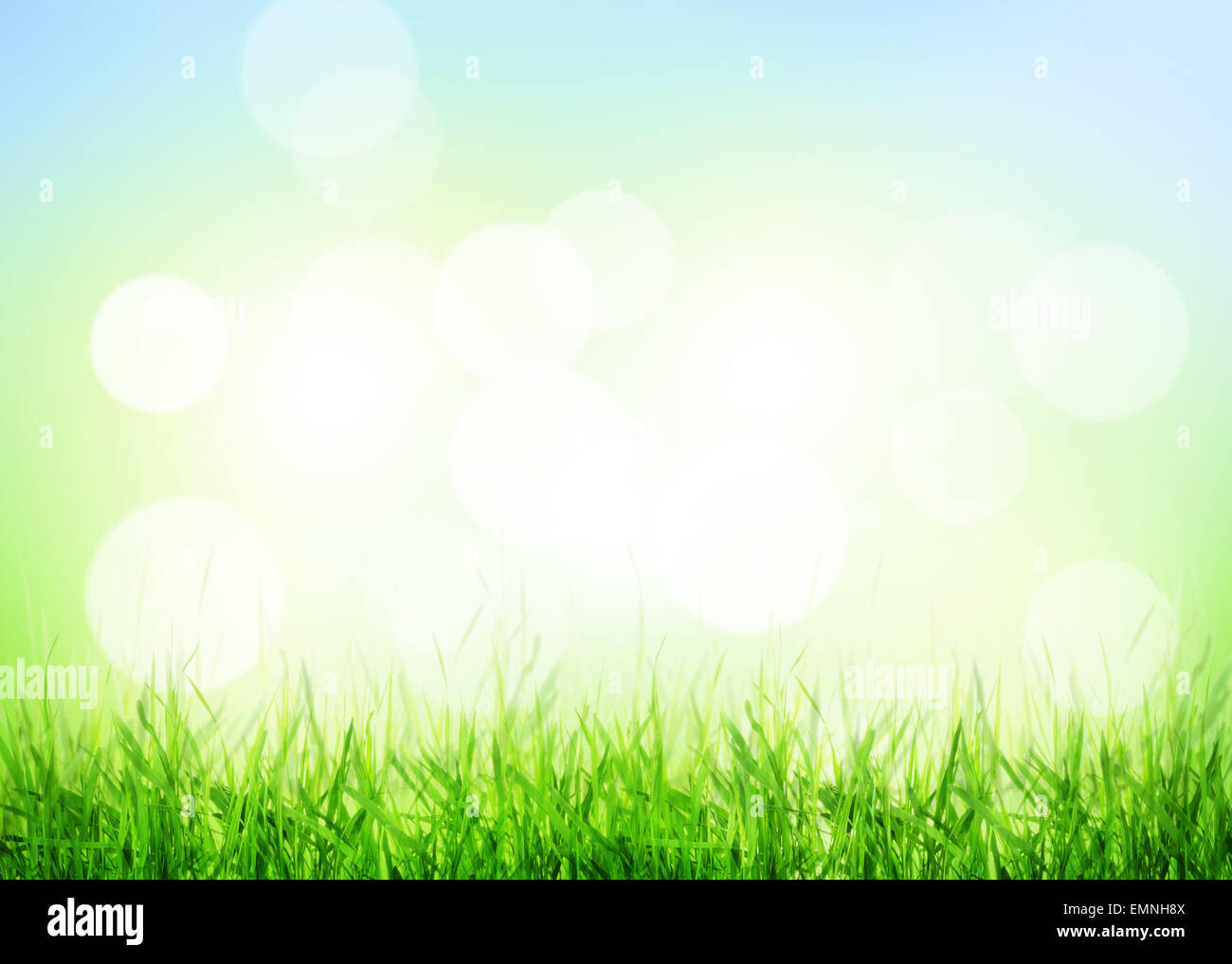 Summer background with green grass and sunlight bokeh Stock Photo - Alamy