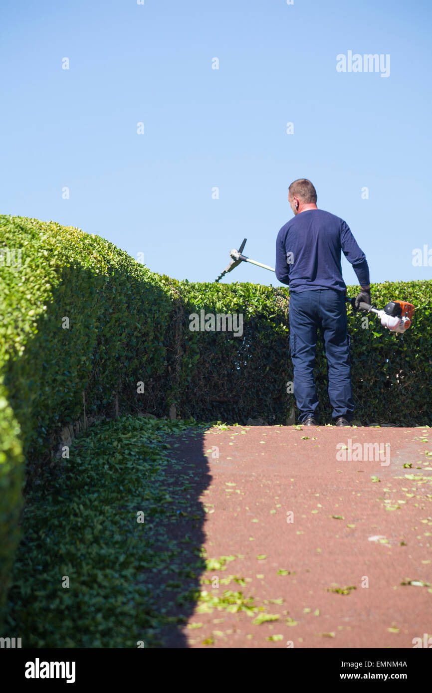 Man trimming hedge hi-res stock photography and images - Alamy