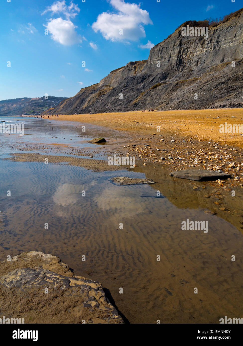 The beach at Charmouth on the Jurassic Coast in West Dorset England UK where fossils are found in the cliffs as they erode Stock Photo