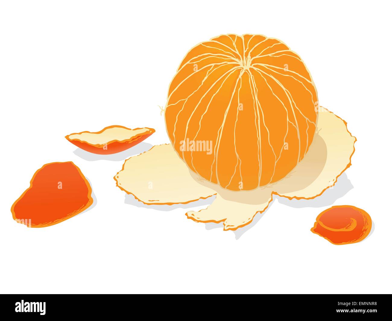Peeled orange among the peels on white background Stock Vector