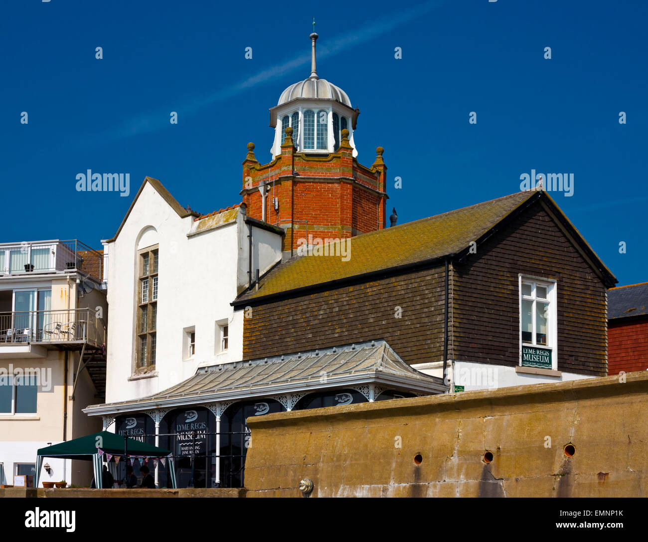 lyme-regis-fossils-hi-res-stock-photography-and-images-alamy