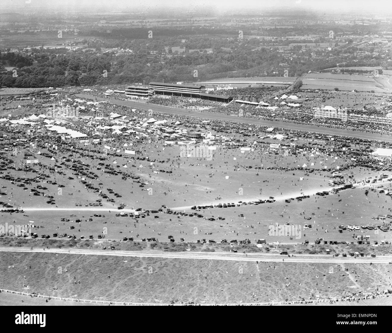 Horse aerial Black and White Stock Photos & Images Alamy