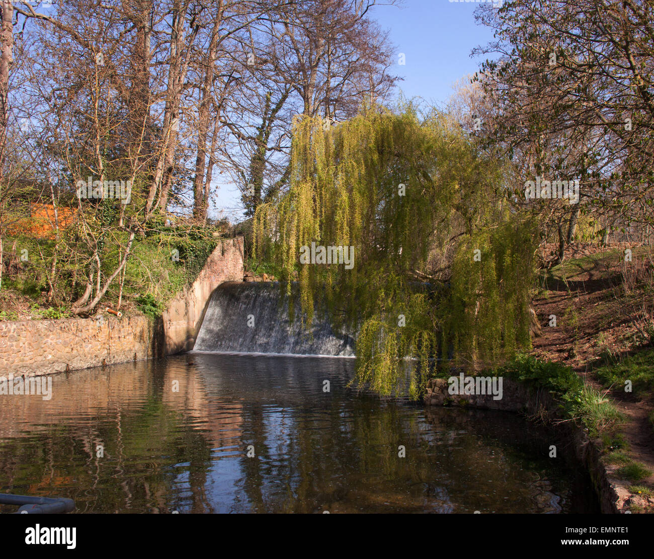 A weir on the river Sid flowing through the Byes, a riverside park, in Sidmouth, Devon. Stock Photo