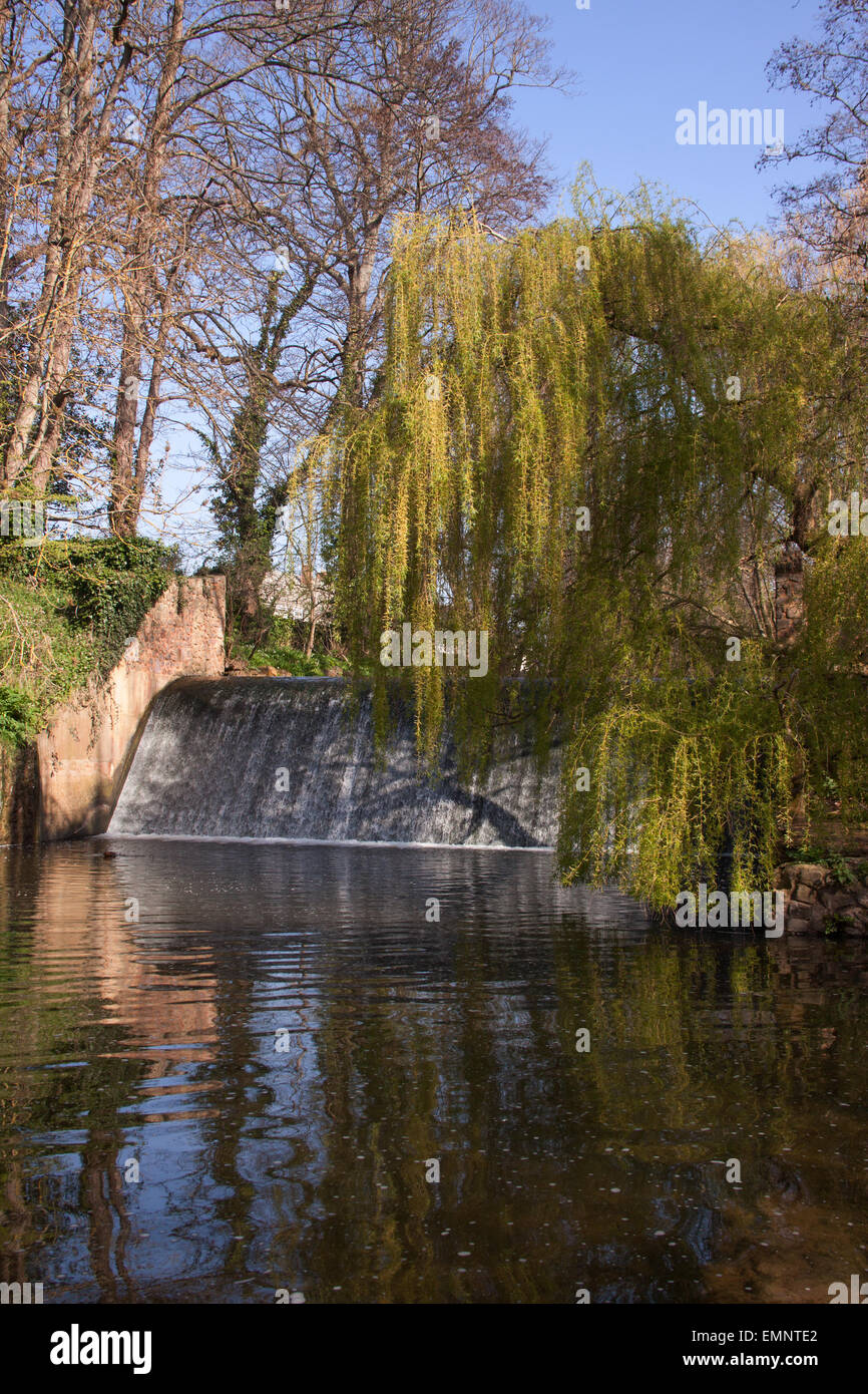 A weir on the river Sid flowing through the Byes, a riverside park, in Sidmouth, Devon. Stock Photo