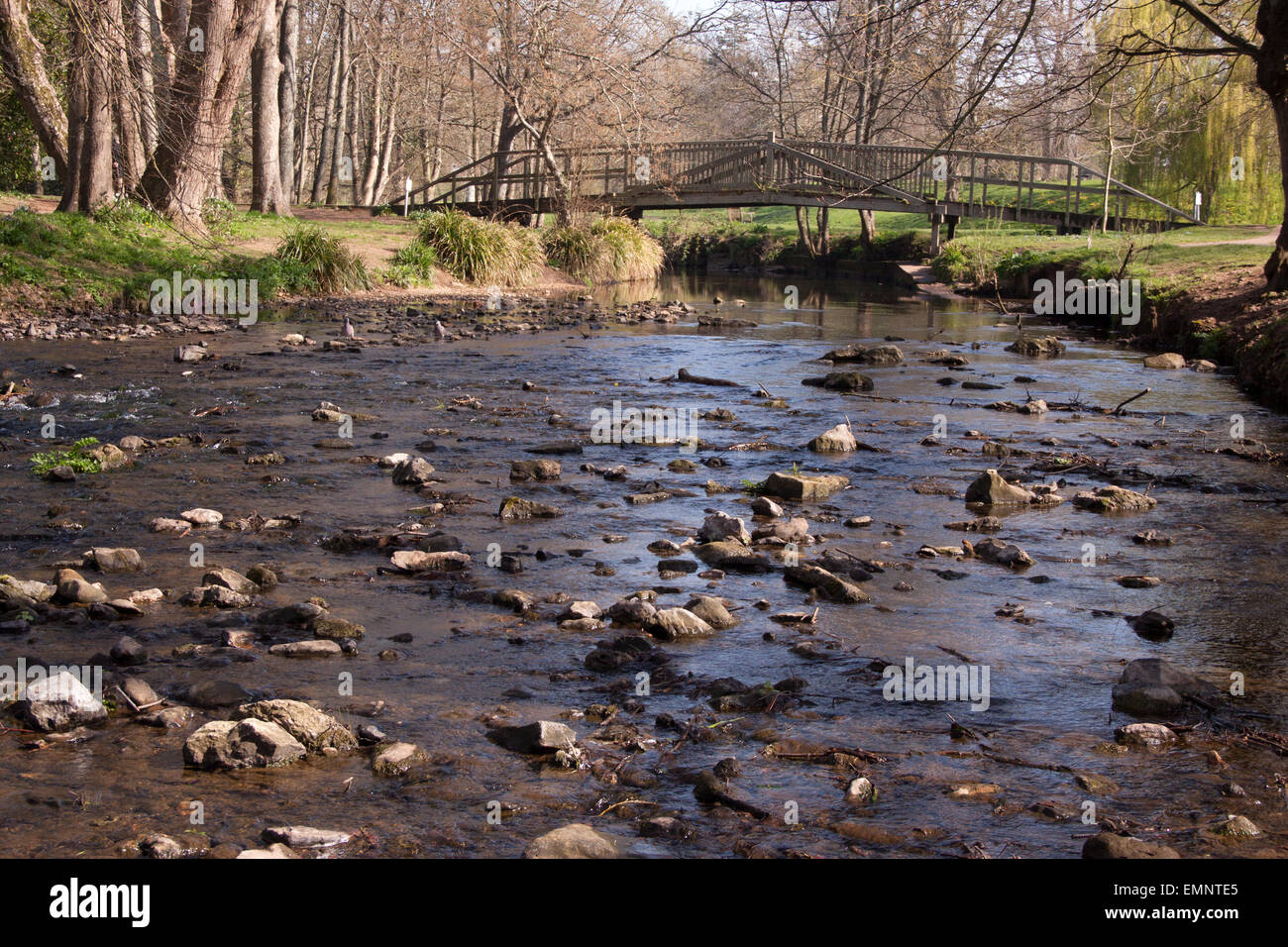 Sidmouth. The river Sid flowing through the Byes, a riverside park, in Sidmouth, Devon. Stock Photo