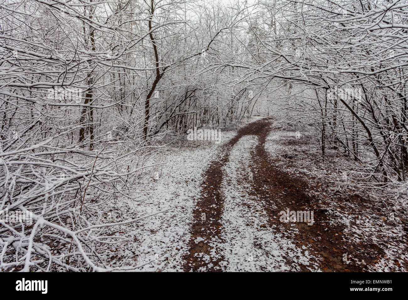 Winter view tree covered hi-res stock photography and images - Alamy