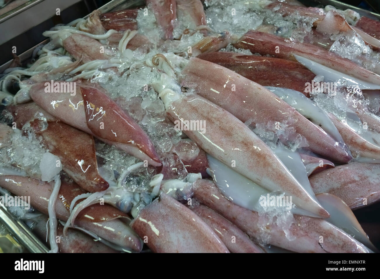 Fresh squid on a wet fish and seafood stall in a Bangkok food market, Thailand Stock Photo