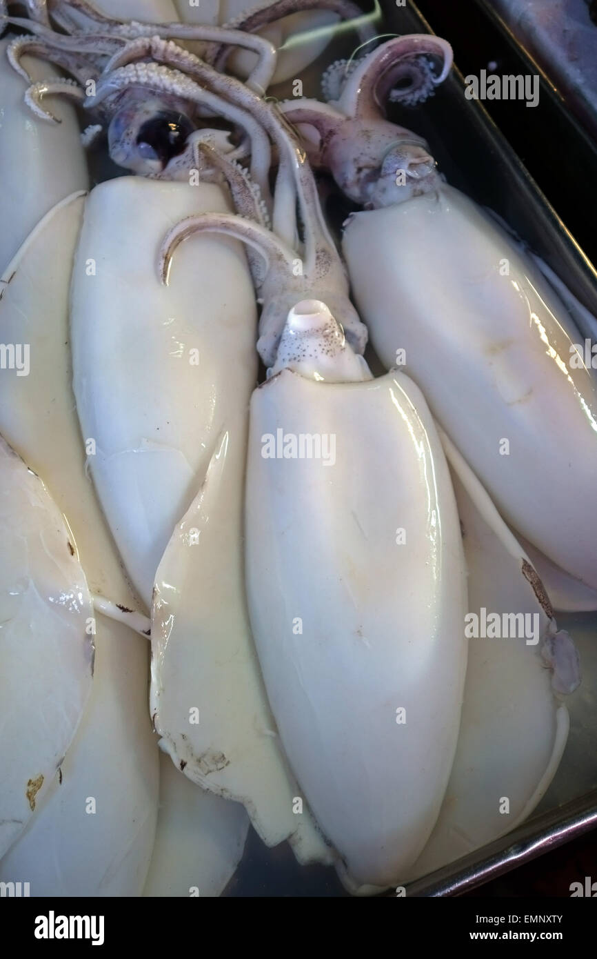 Fresh squid on a wet fish and seafood stall in a Bangkok food market, Thailand Stock Photo