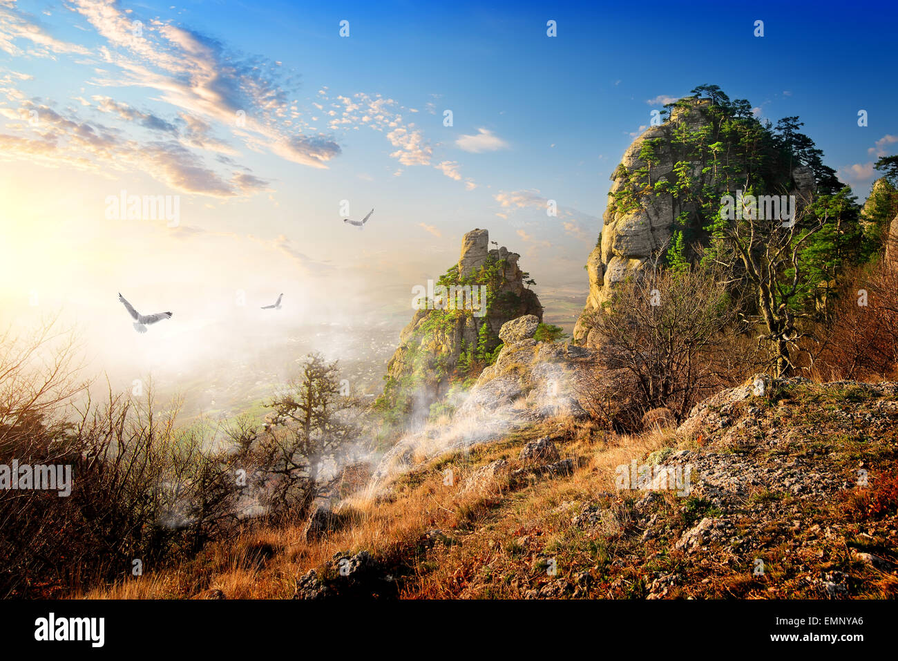 Birds over big cliffs in the autumn morning Stock Photo