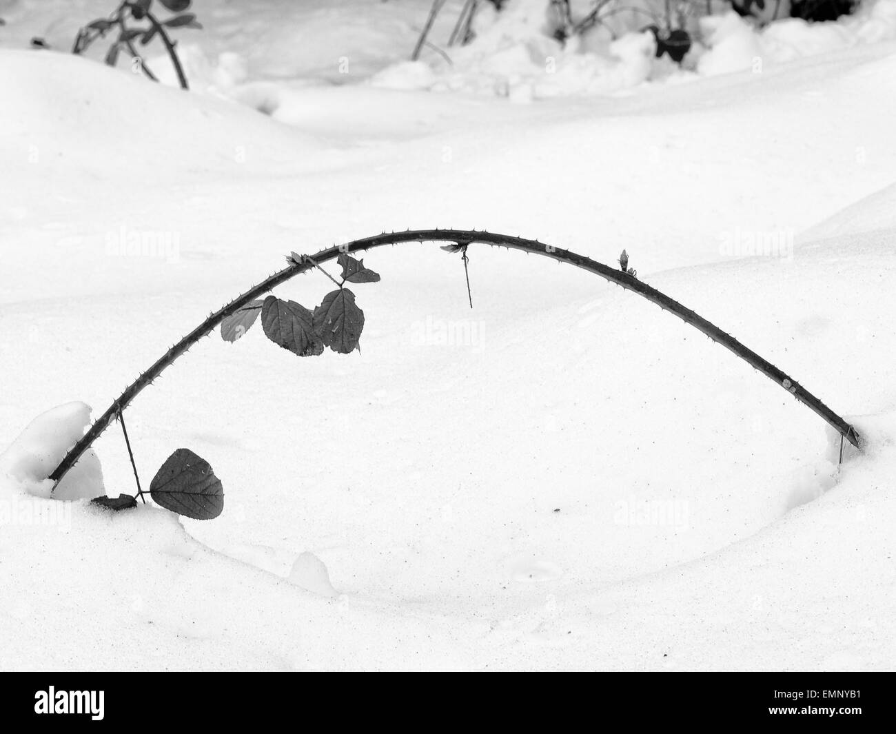 Weight snow hires stock photography and images Alamy