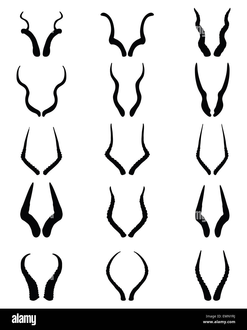 horns of antelopes Stock Photo