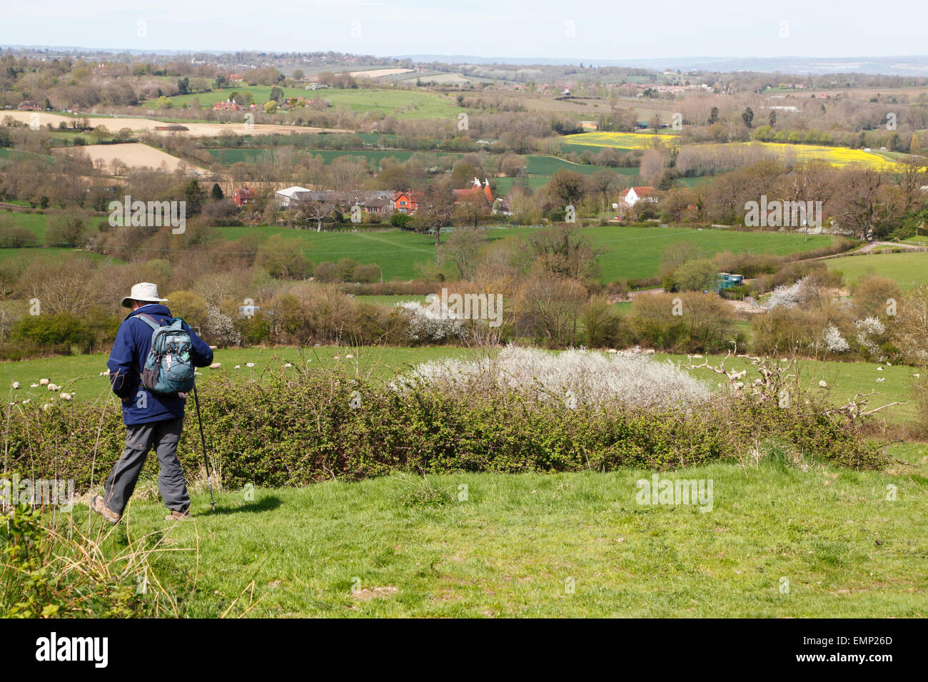 View over farmland and oast houses, Weald of Kent, Goudhurst, UK Stock Photo