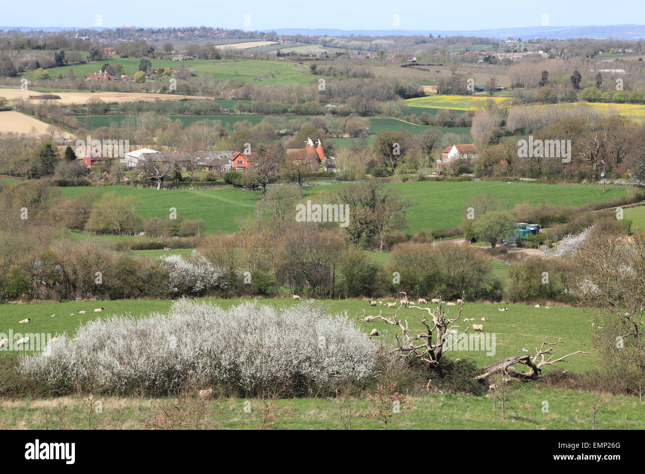 Picturesque view over the Weald of Kent farmland and Oast houses, Goudhurst, UK spring Stock Photo