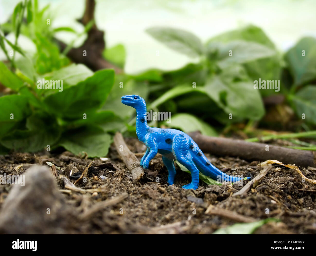Jungle Dinosaur. Blue dinosaur velociraptor standing on nature background Stock Photo Alamy