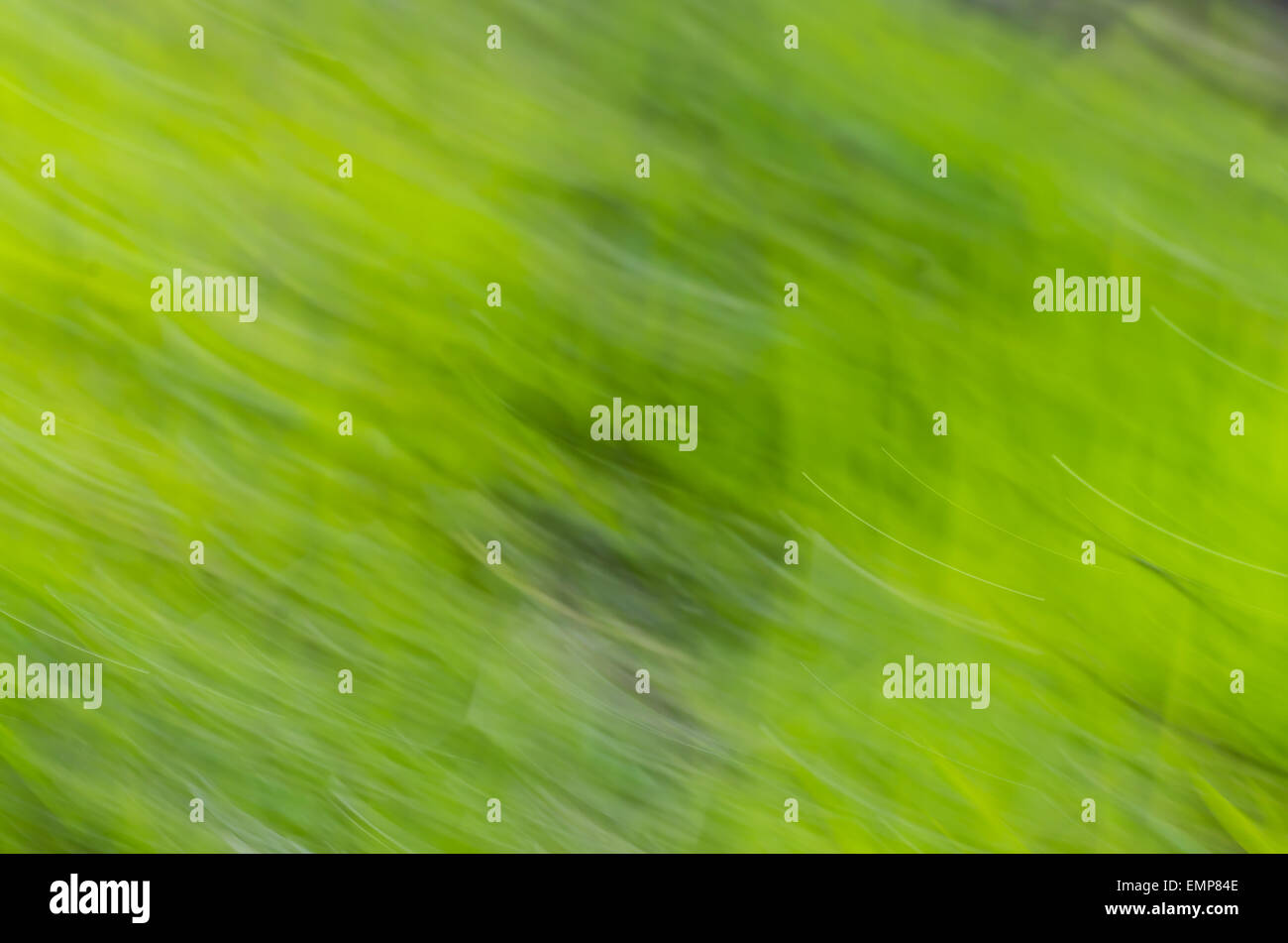 nature defocused motion blur green background Stock Photo - Alamy