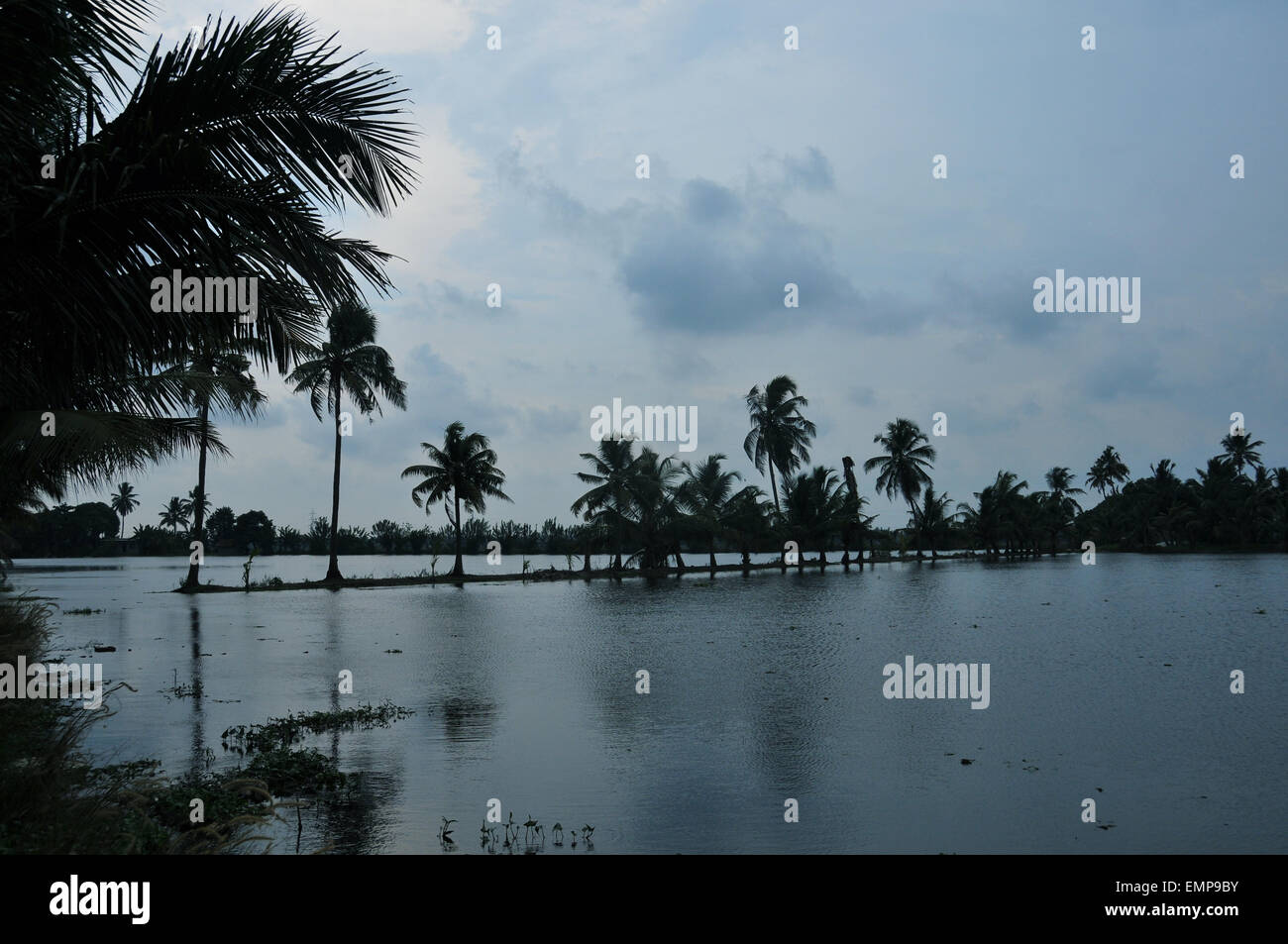 Beauty of kerala backwater. Stock Photo