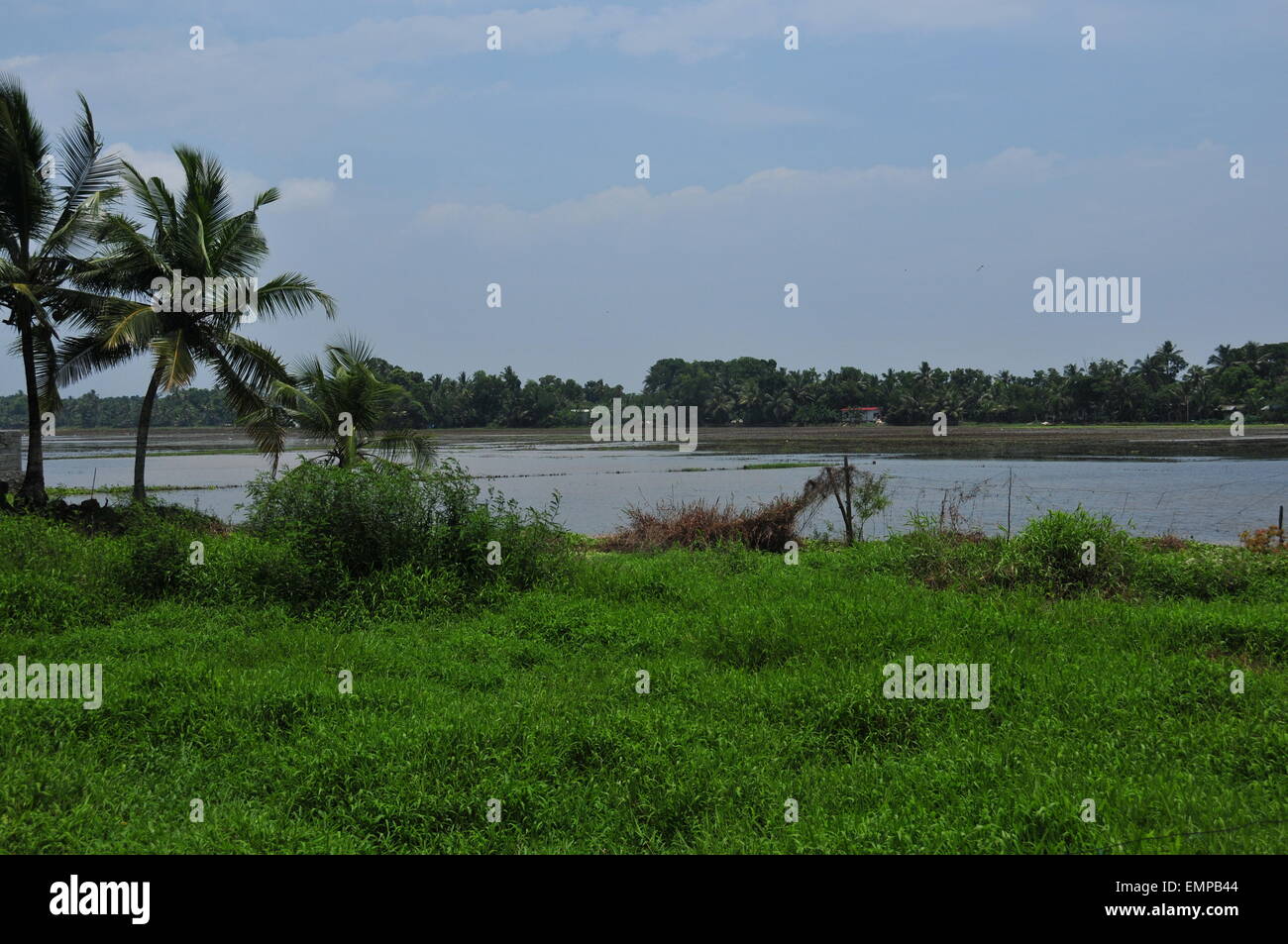 Beauty of kerala land scape. Stock Photo
