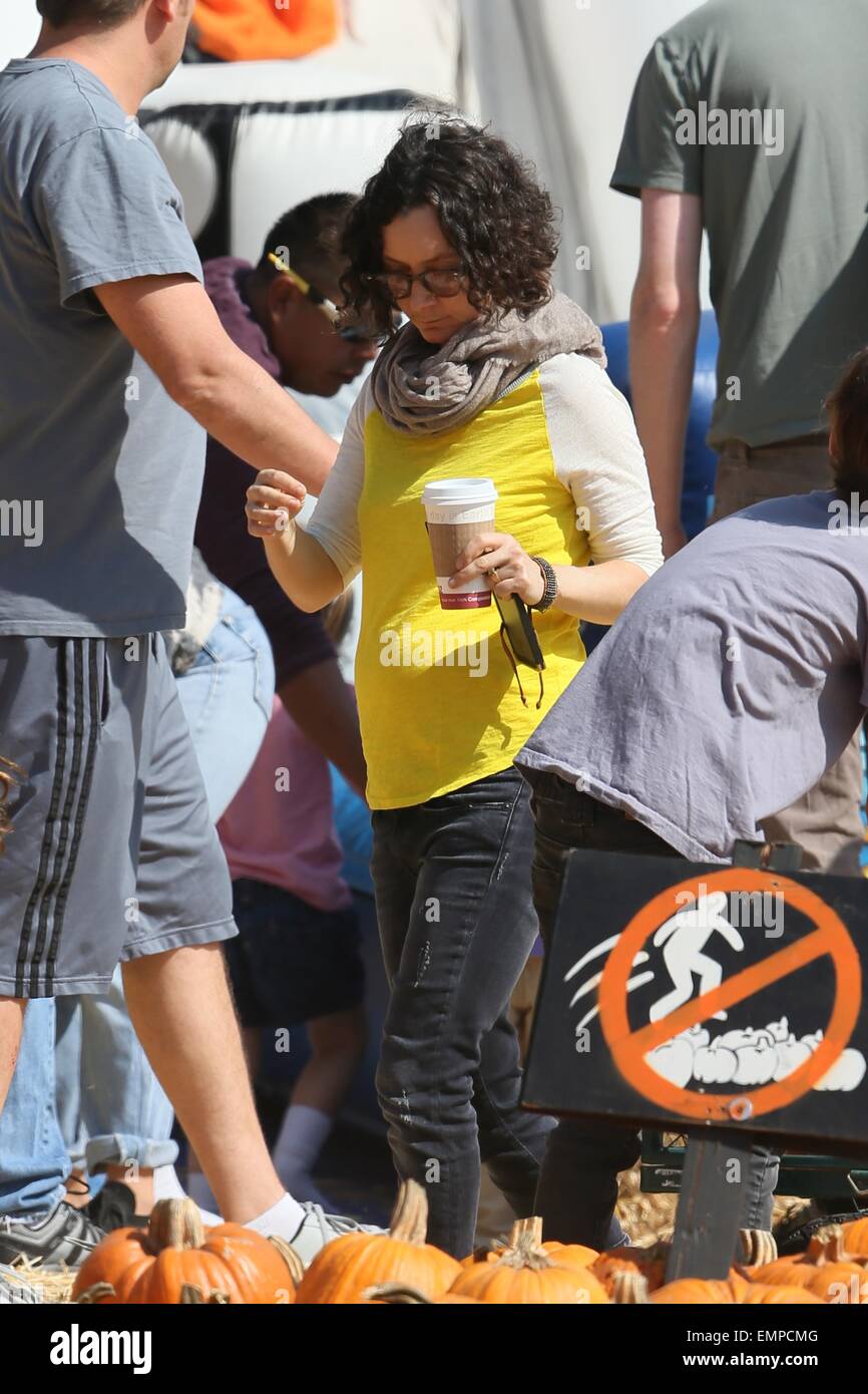 Sara Gilbert Pregnant With Girlfriend Pregnant Sara Gilbert Covers Up