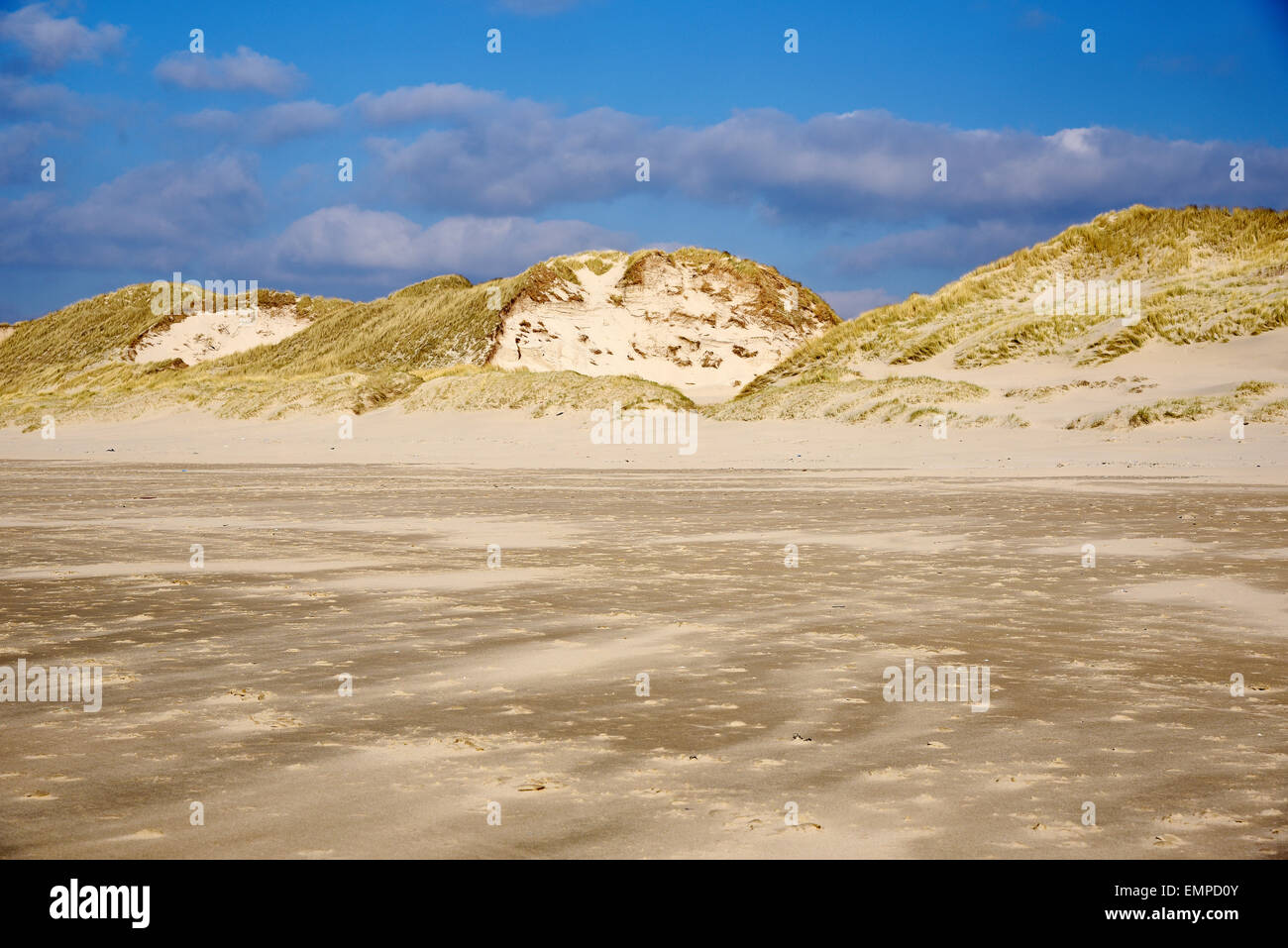Beach, dunes, Egmond aan Zee, province of North Holland, The