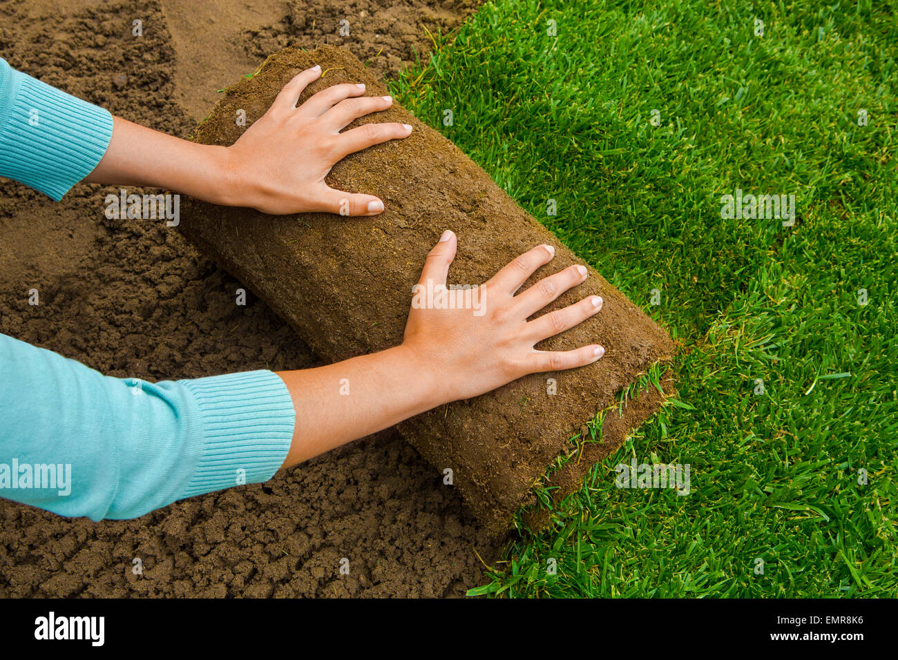Woman applying turf rolls in the backyard Stock Photo