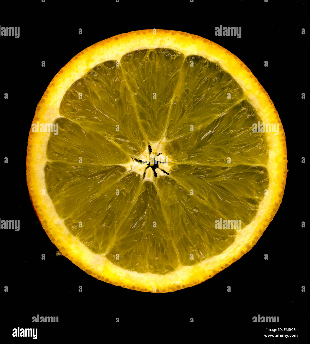 orange (specifically, the sweet orange) is the fruit of the citrus species  in the family Rutaceae Stock Photo