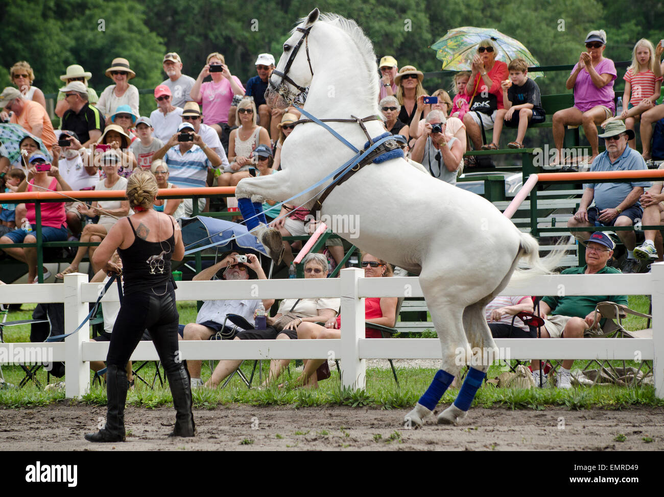 Spectators watch Herrmanns' Royal Lipizzan Stallions of Austria being