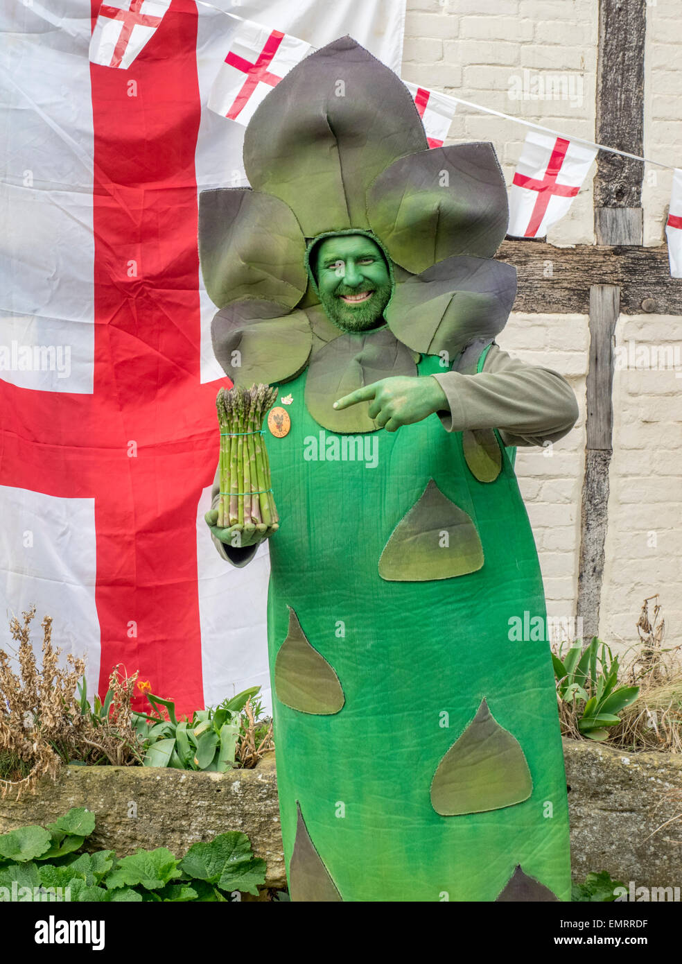 Asparagus festival worcestershire hires stock photography and images