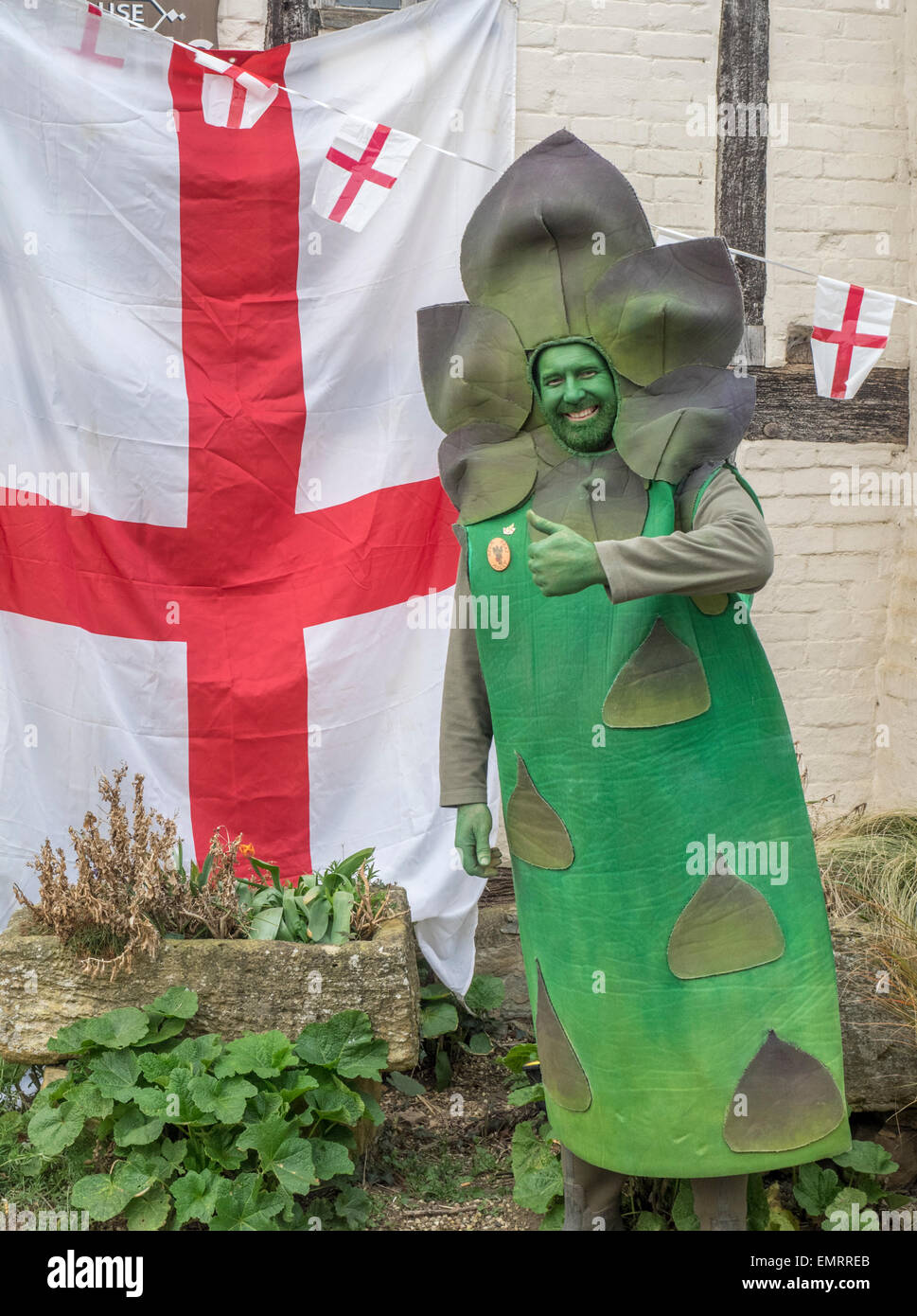 Asparagus festival worcestershire hires stock photography and images Alamy