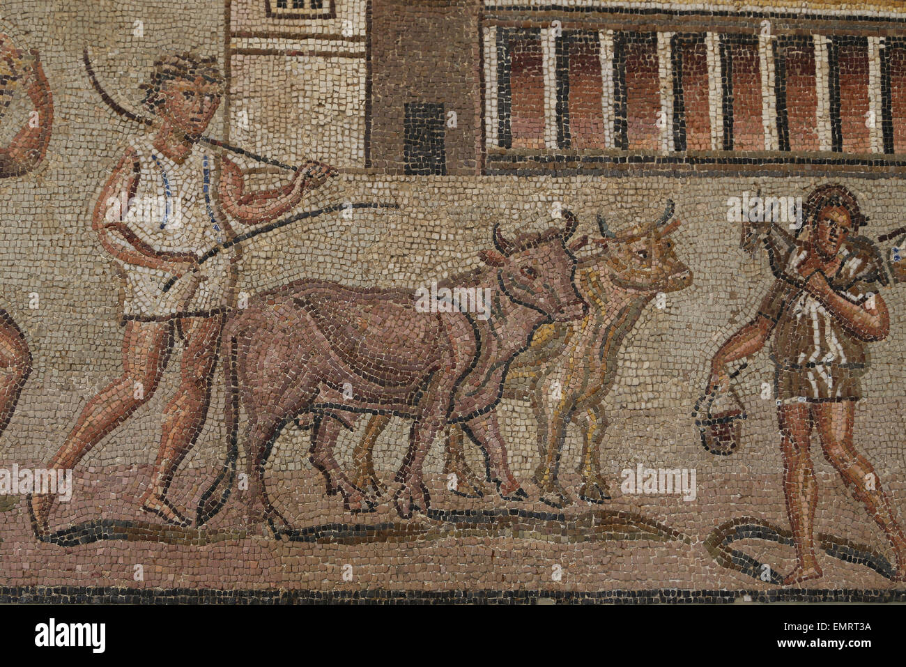 Roman mosaic with marine and rural scenes. Late Imperial, late 2nd-3rd C. AD. Detail. Workman with oxes. Museum Metropolitan. NY Stock Photo