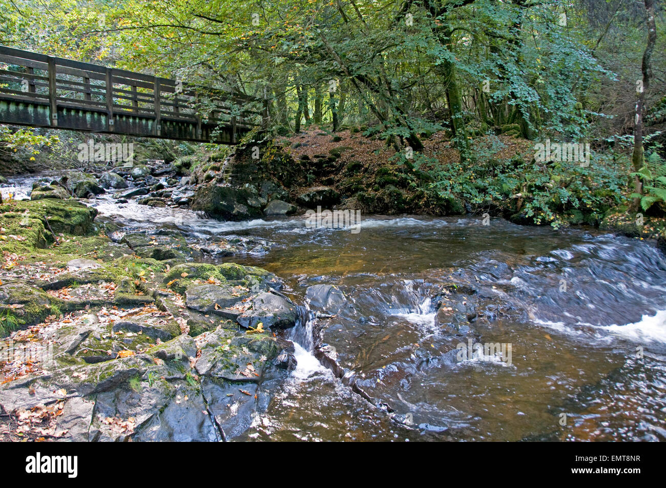 The upper reaches of the River Taw as it flows through Belstone Cleave on the northern side of Dartmoor Stock Photo