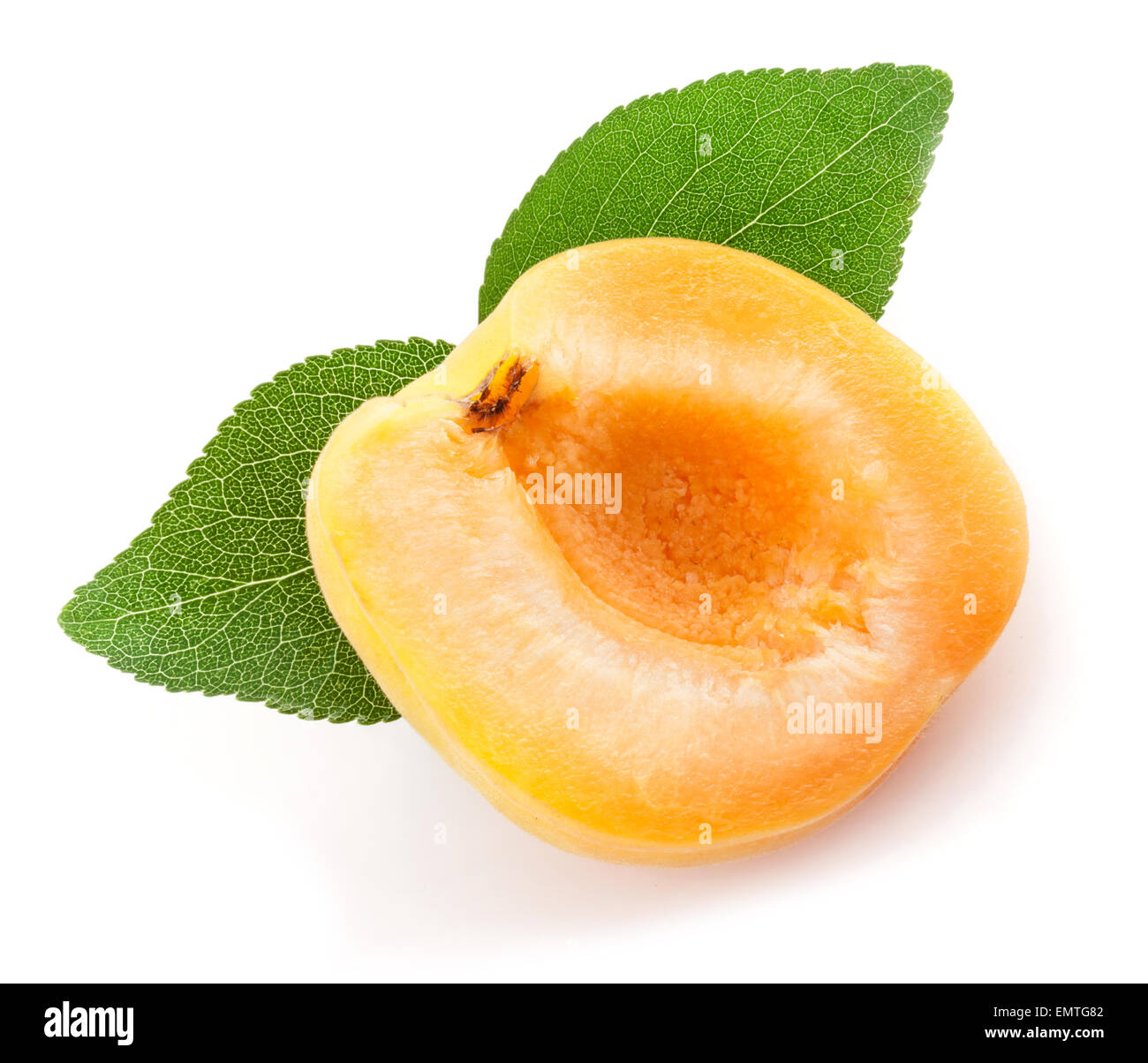 Apricot fruits slices with green leaves, isolated on white background