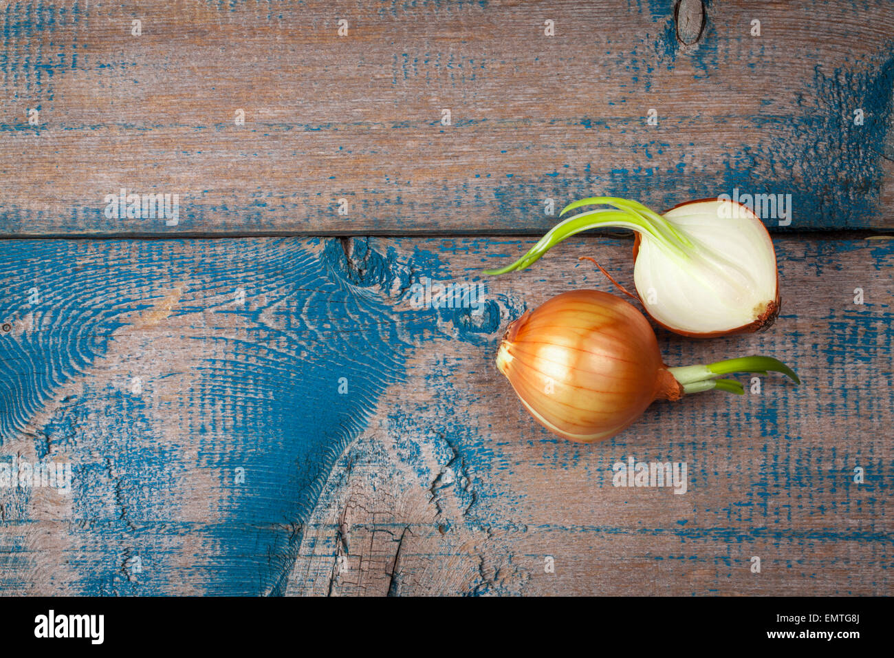 Three golden onions hi-res stock photography and images - Alamy