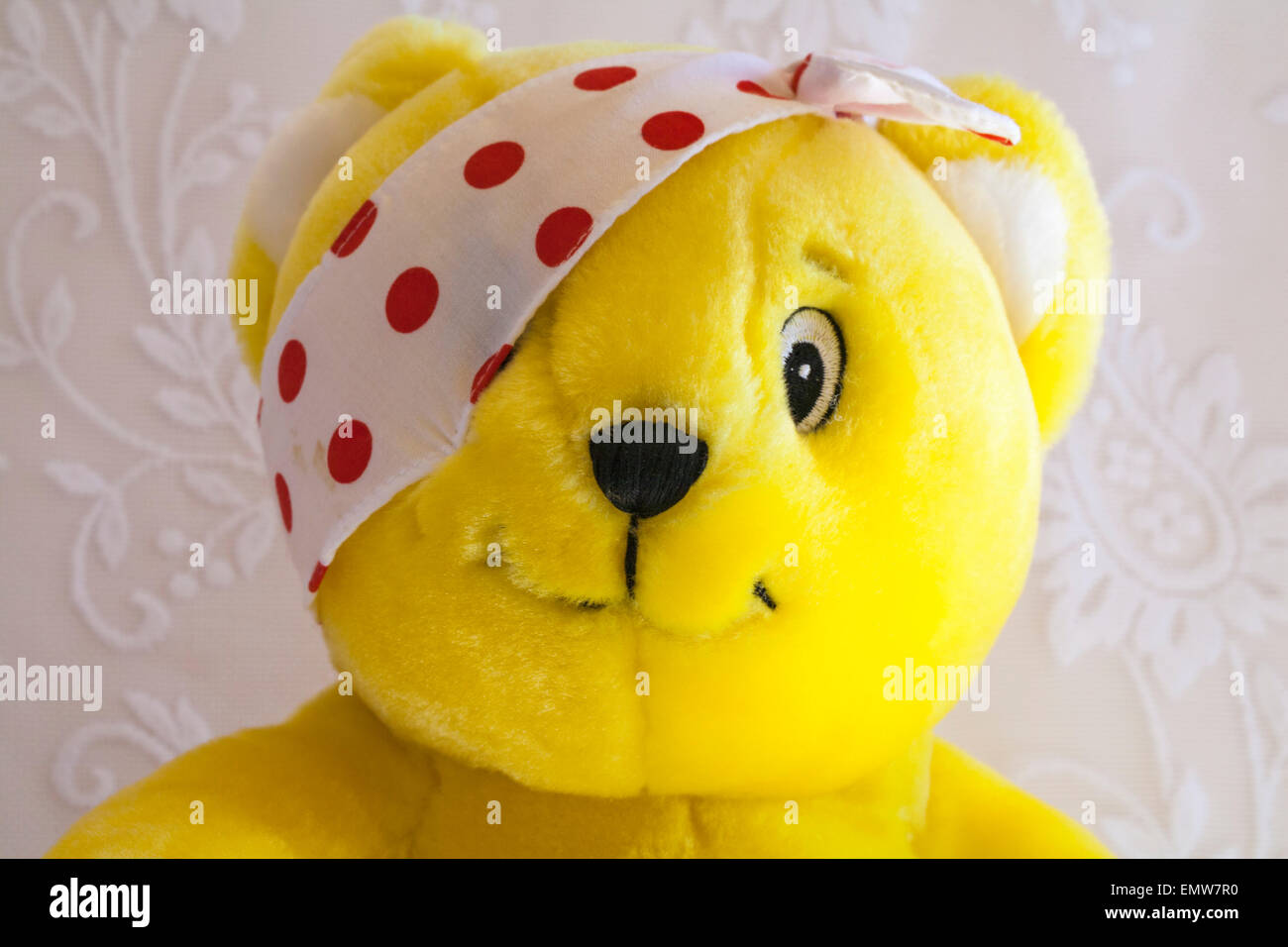 Pudsey bear soft cuddly toy - close up of face Stock Photo - Alamy