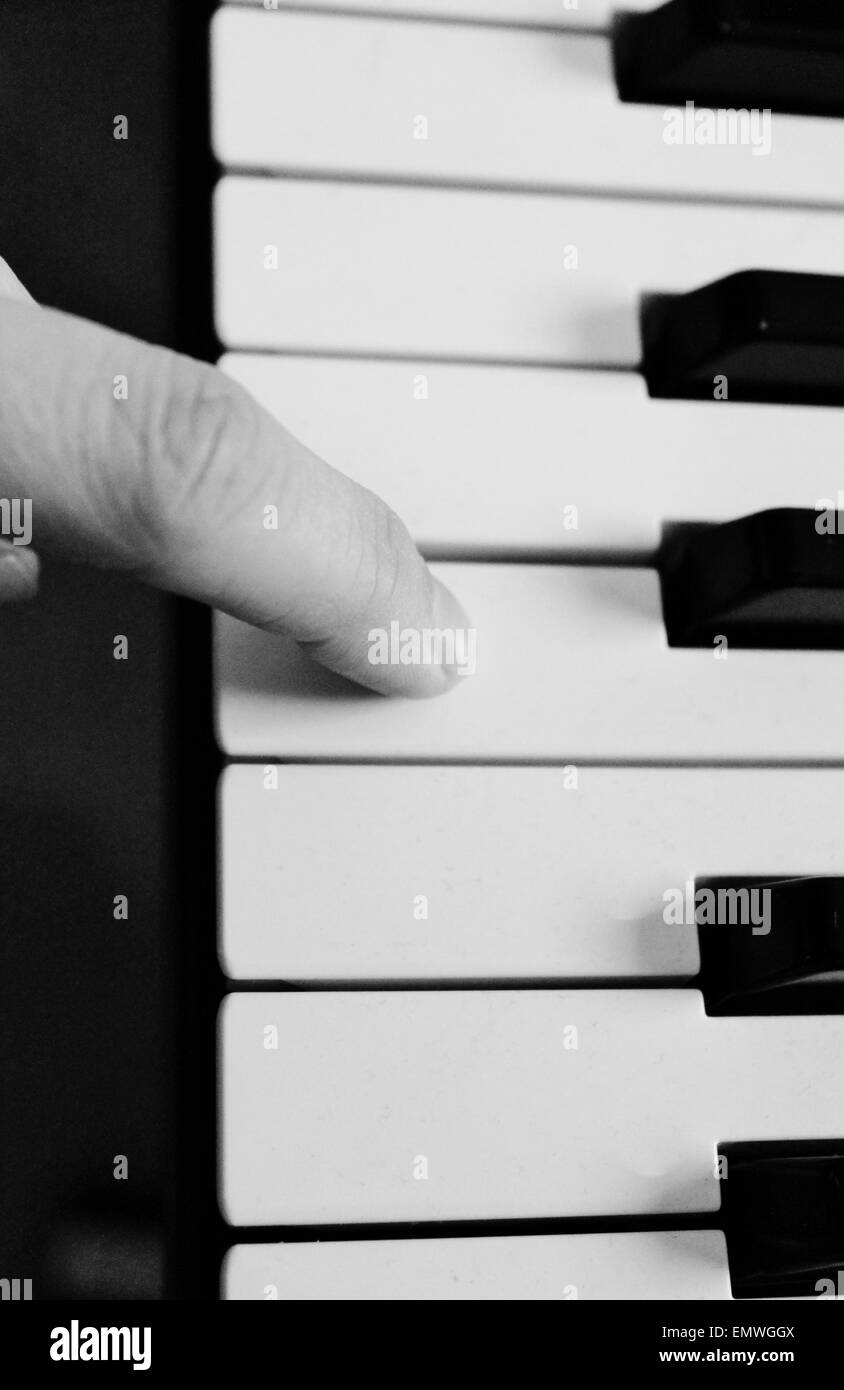 piano keys black and white instrument Stock Photo Alamy