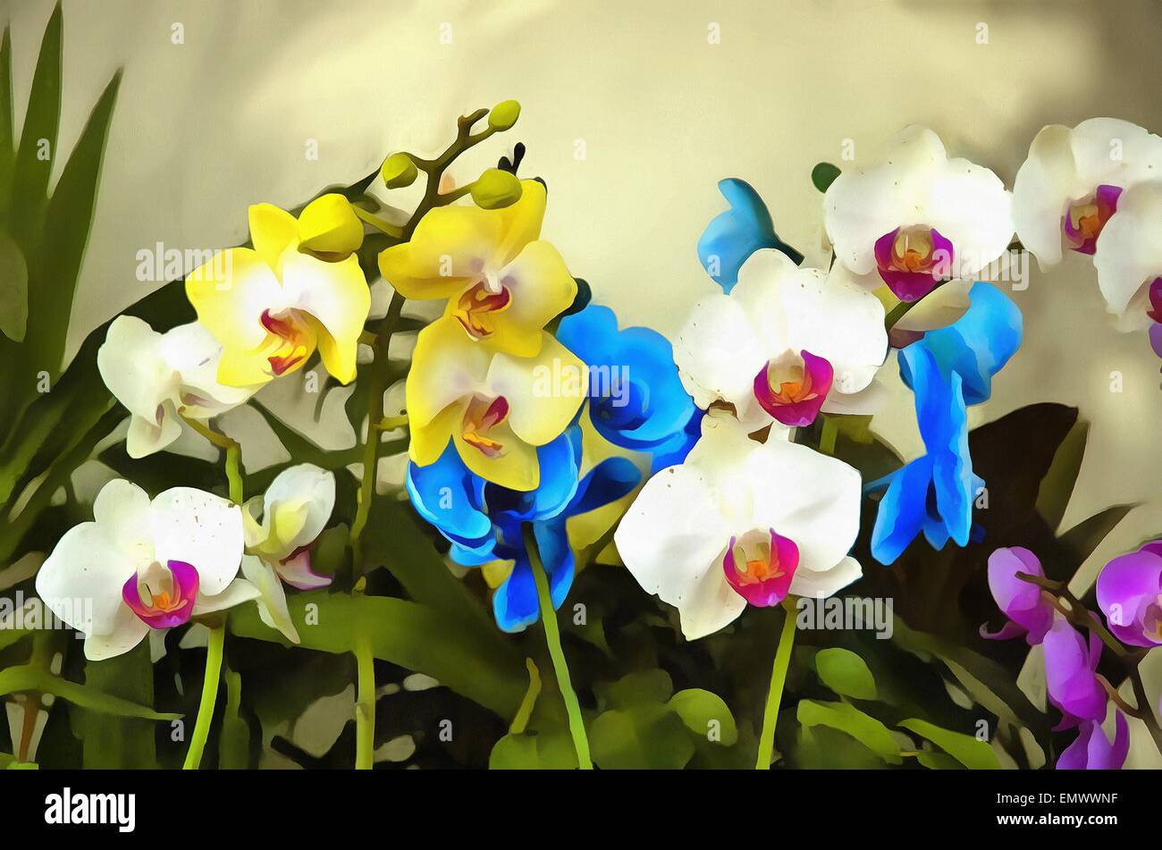 Orchid (Orchidaceae) a perennial herb, flowers,watercolor Stock Photo