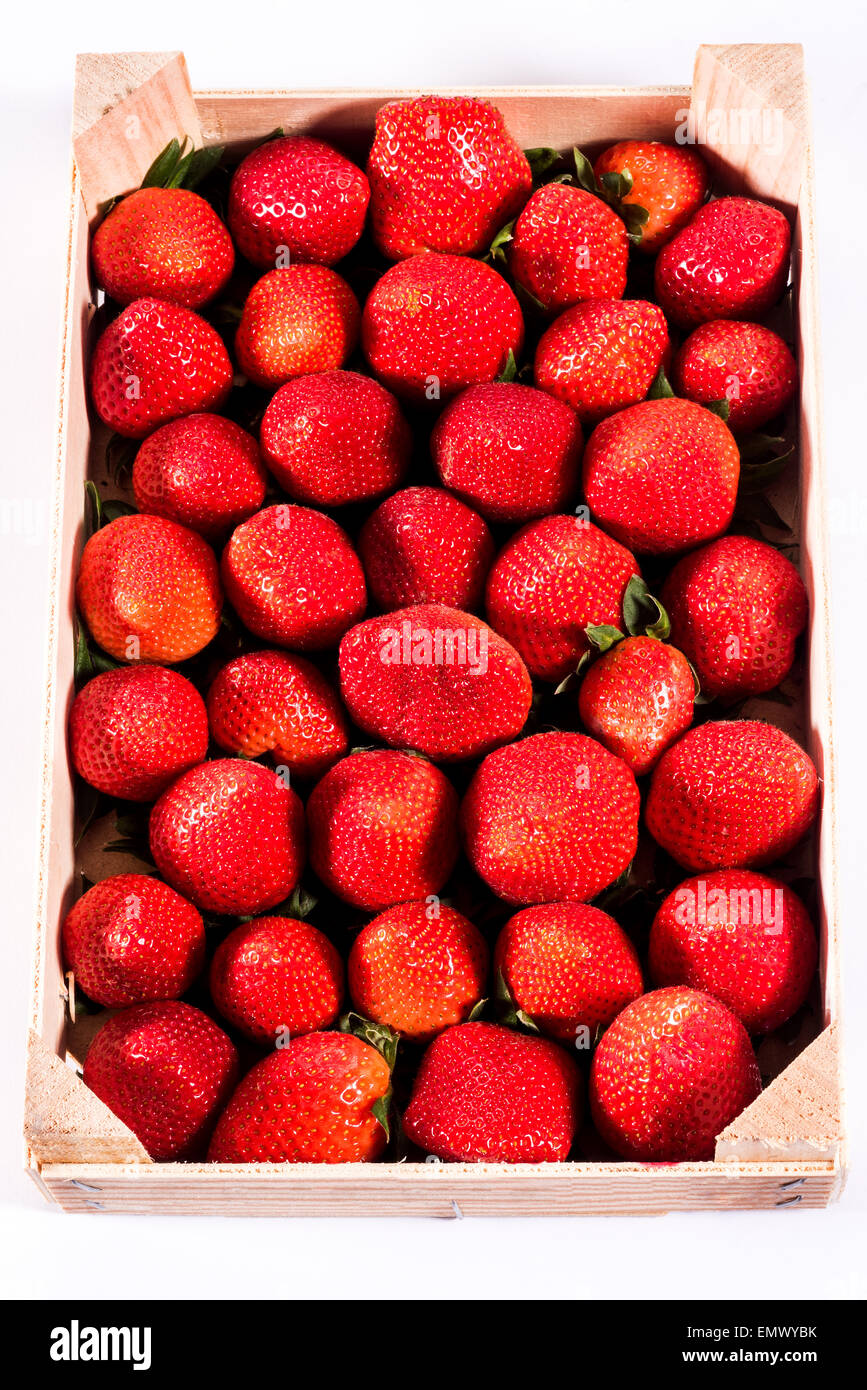 Strawberry, fresh strawberries in the wooden box in an ecological nature healthy food fruit valuable red biodynamic nice and big Stock Photo