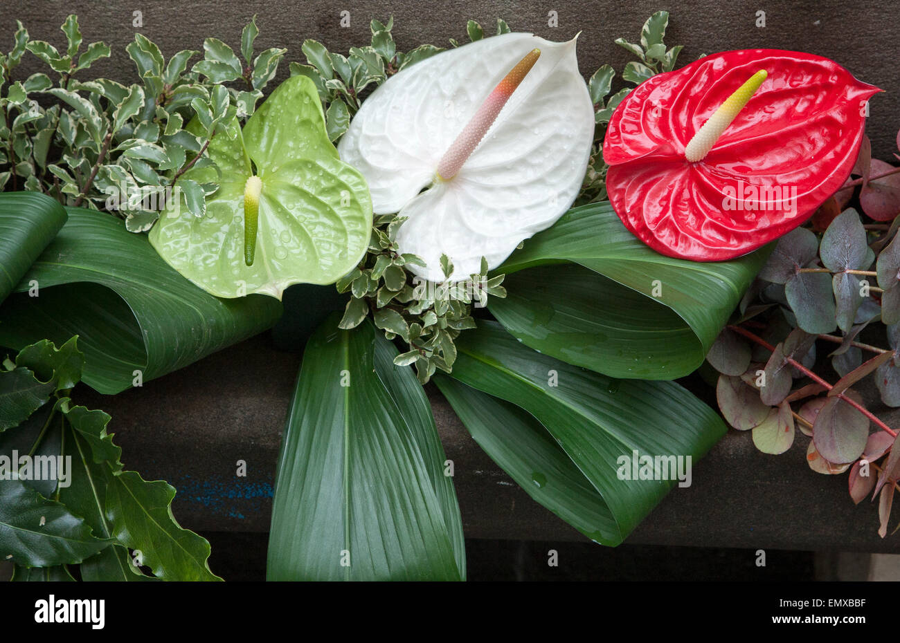 Flag made of flowers hi-res stock photography and images - Alamy