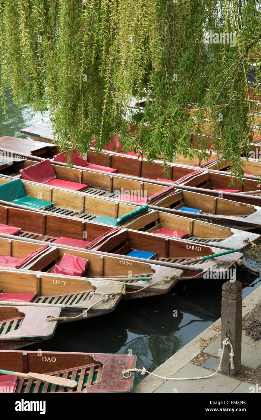 Empty punts for hire on the River Cam in the city of Cambridge Stock Photo