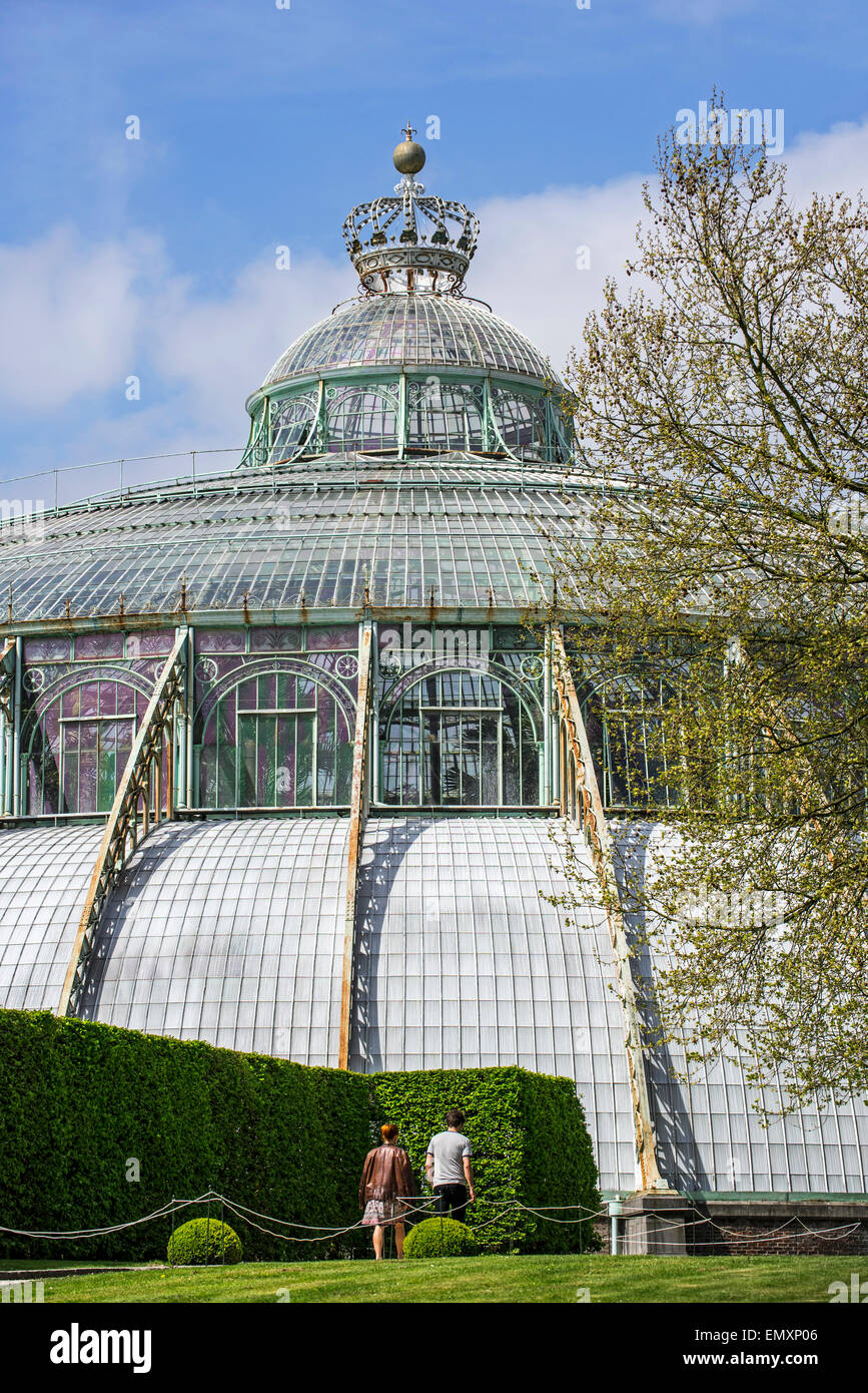 Dome of the Jardin d'hiver / Winter Garden in Art Nouveau style, Royal Greenhouses of Laeken, park of the Royal Palace, Belgium Stock Photo