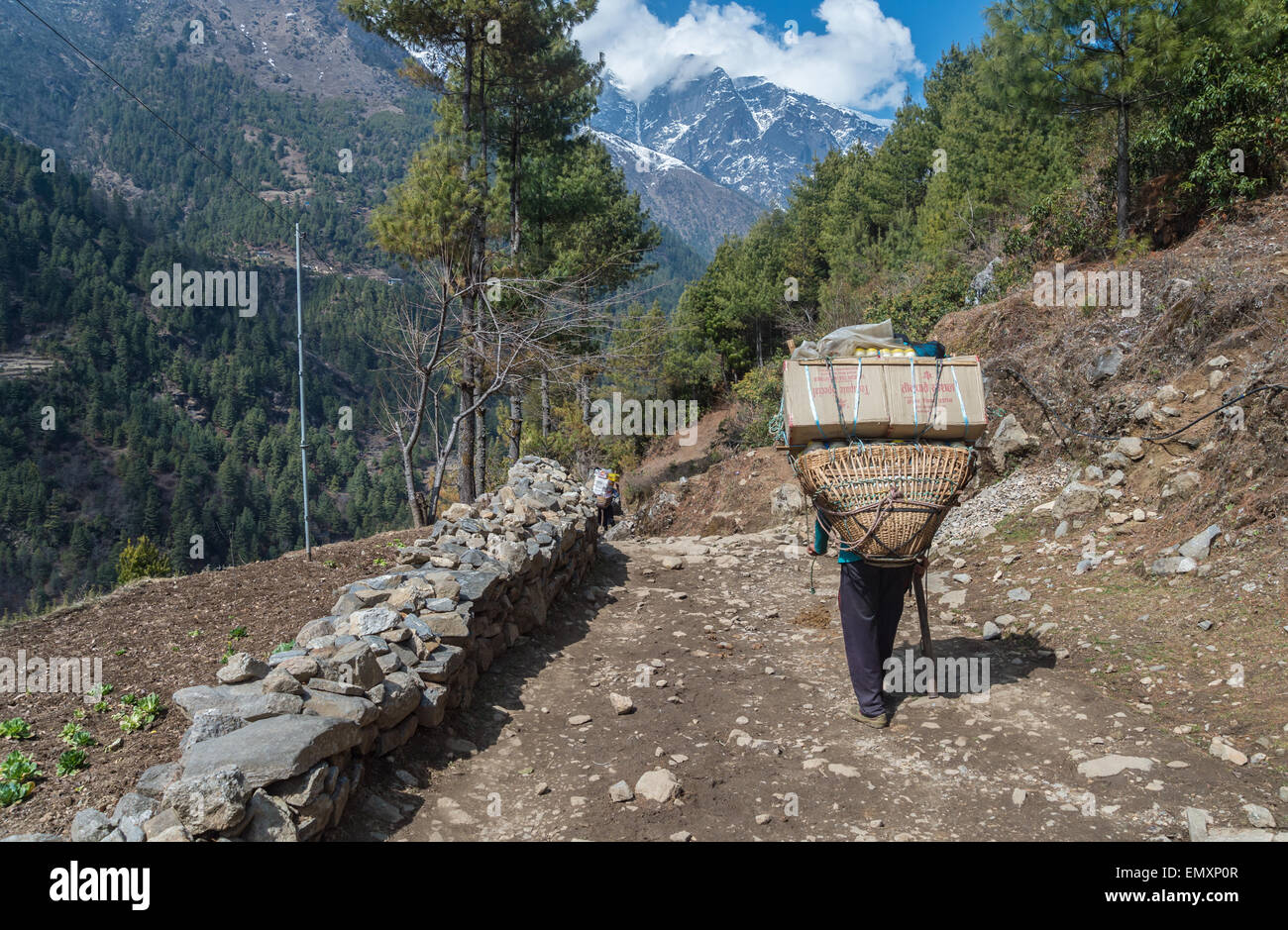 Back view of a Nepalese porter, carrying a heavy load, on his way to ...
